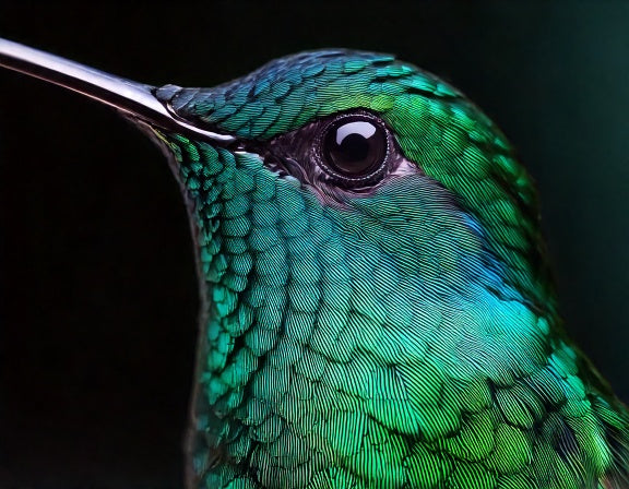 Close-up of a hummingbird's iridescent green throat and crown feathers
